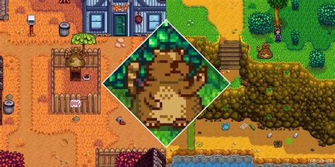stardew valley trash.
